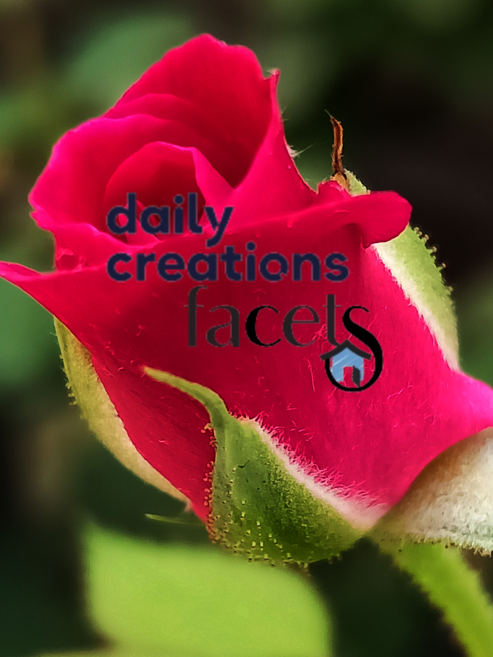 Daily Creations Facets