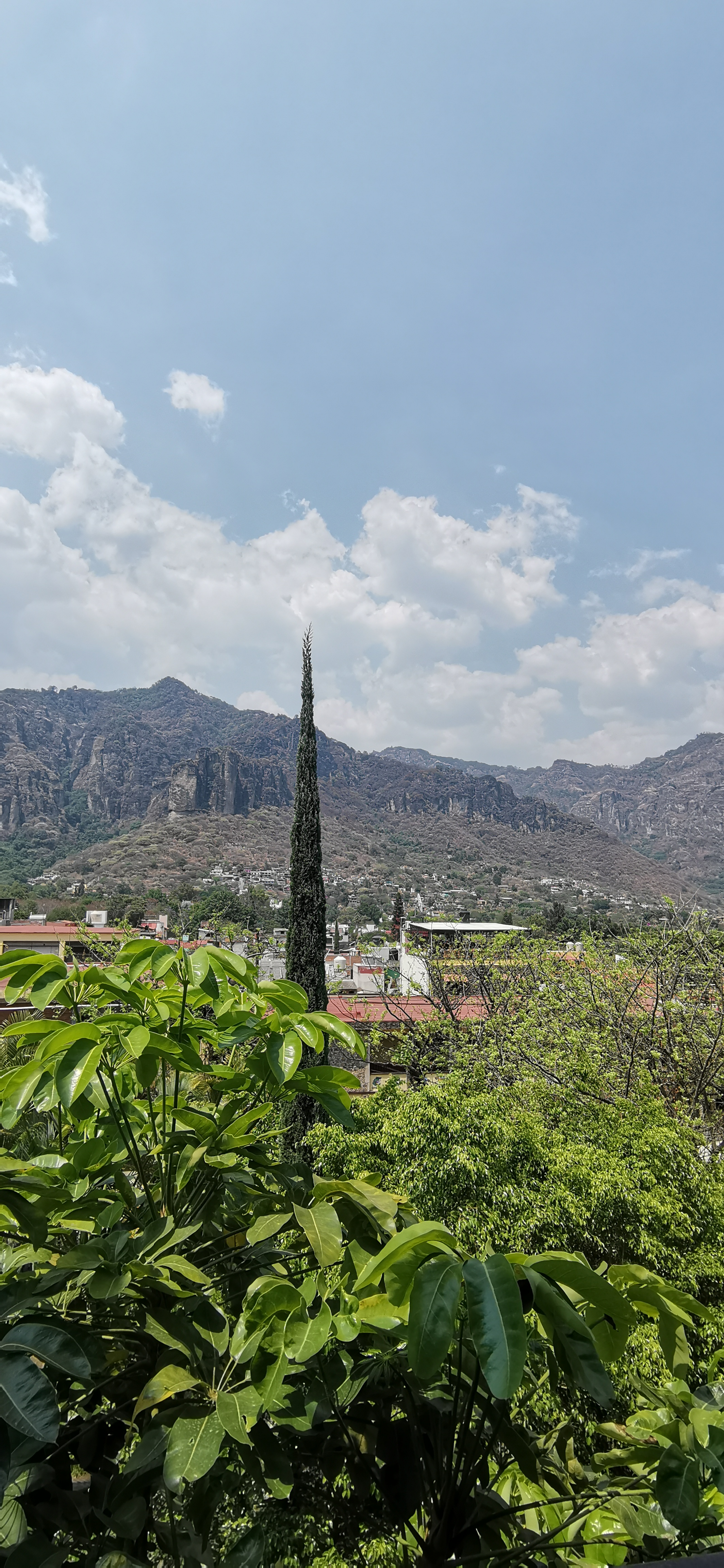 Fue Horrible fue horrible!!!