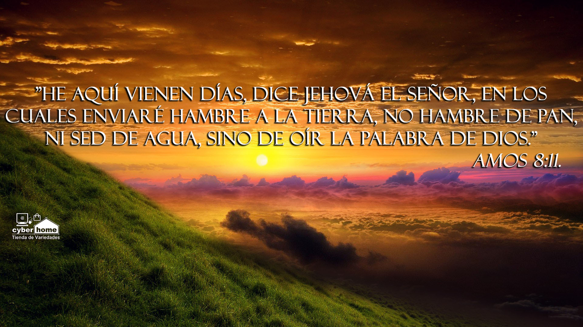 George Galliano ᴺᵒᵛᵉˡᵃˢ