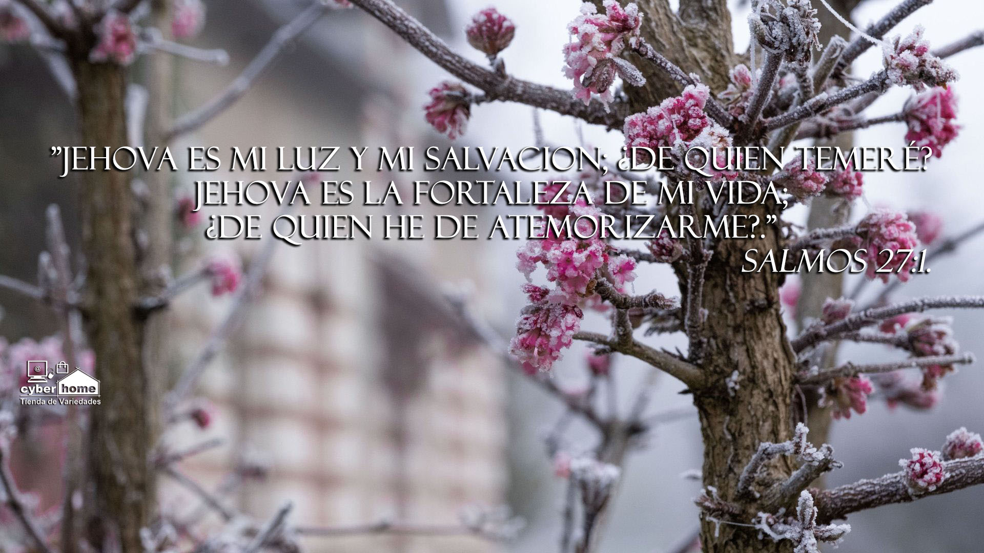 Avril Lopez ᴺᵒᵛᵉˡᵃˢ