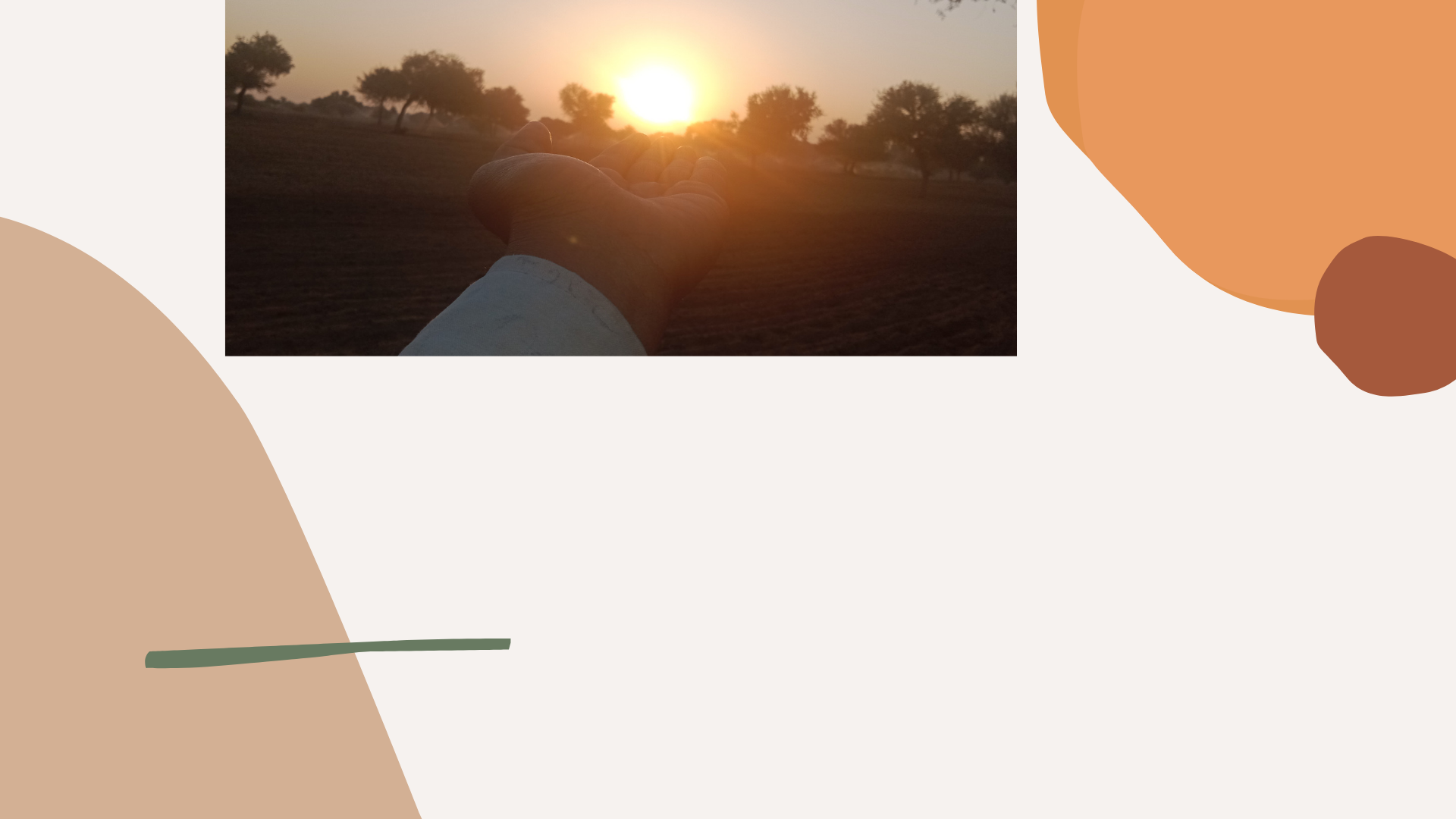 THE  YOUTUBE CHANNEL