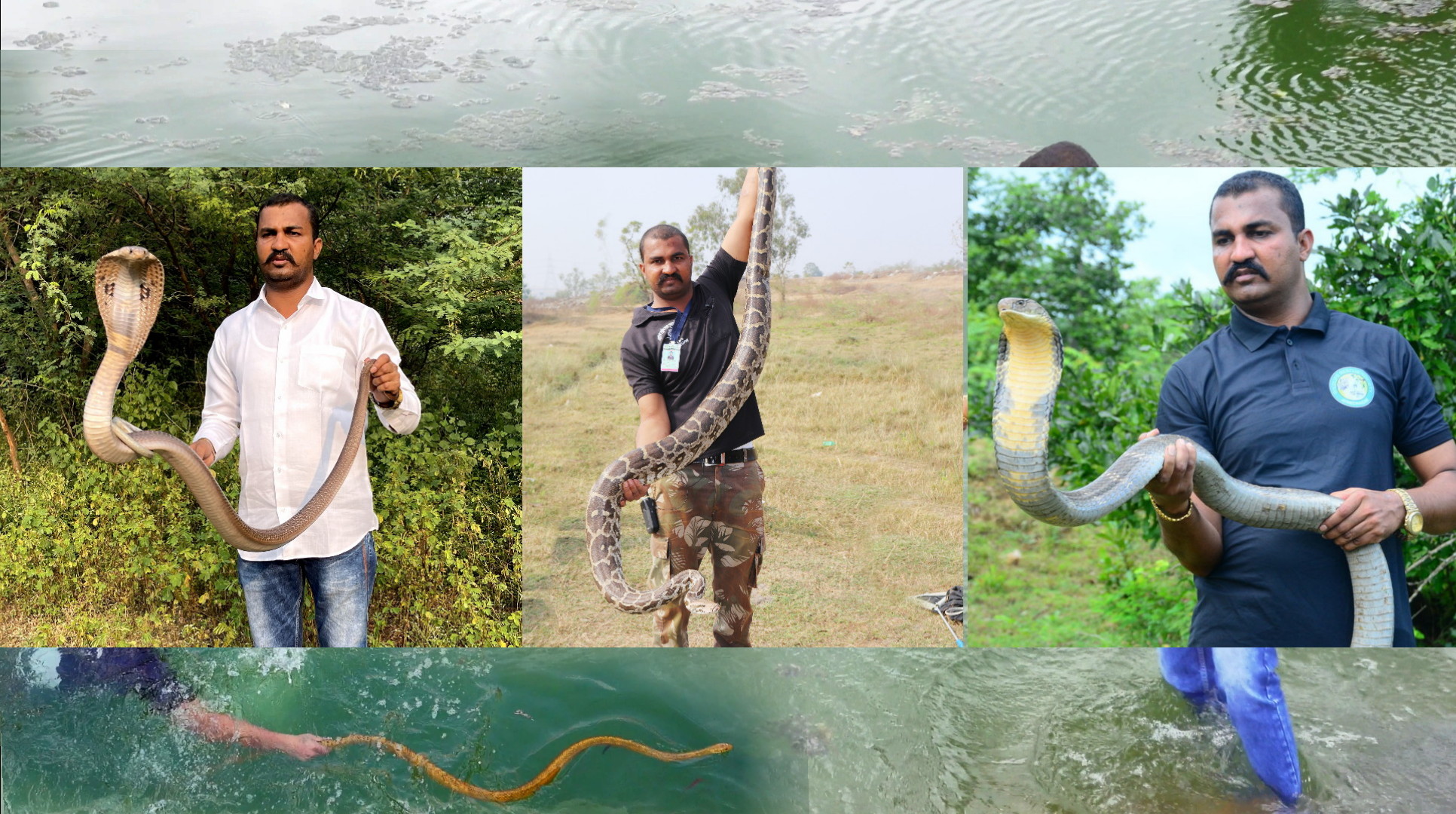 Sarpmitra Akash Jadhav