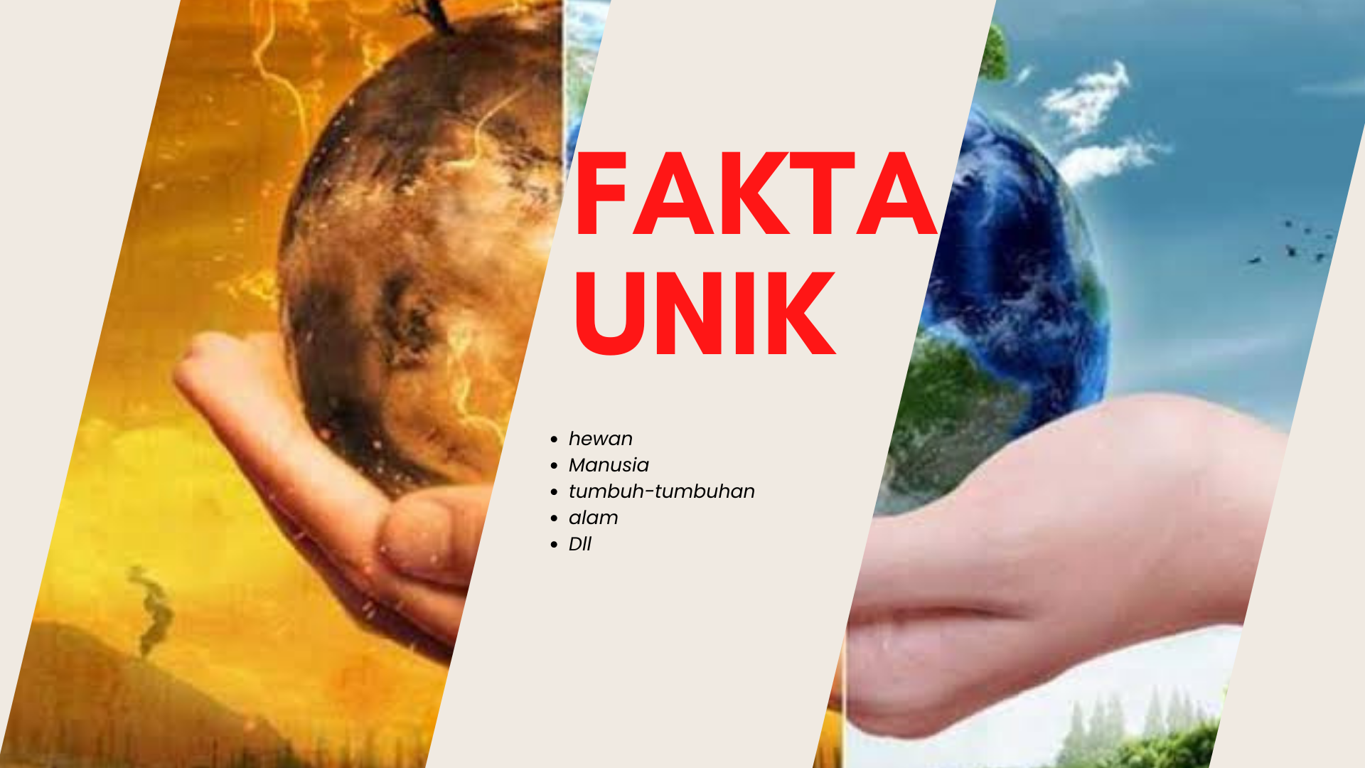 Fakta Unik
