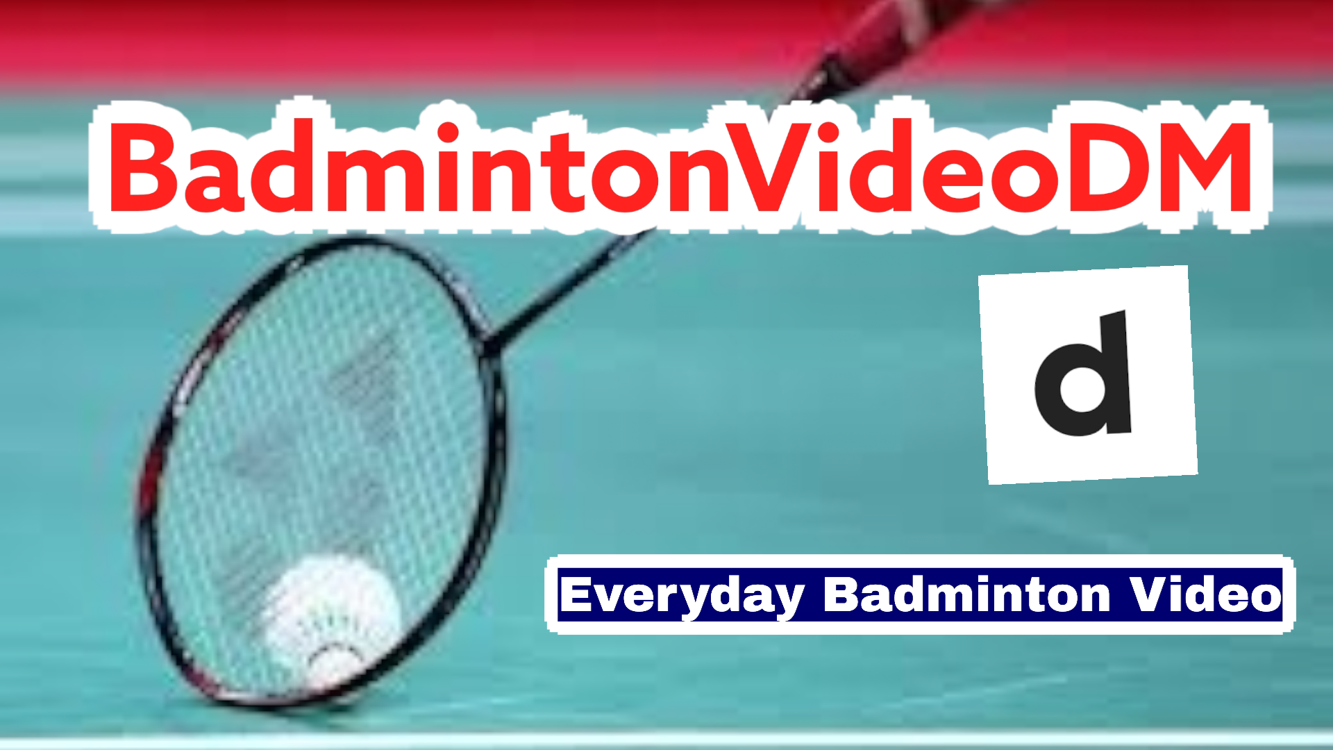 BadmintonVideoDM