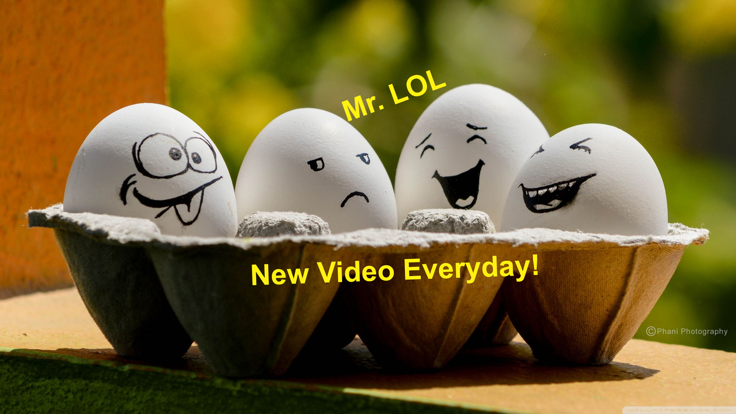 Animes & Entertainment