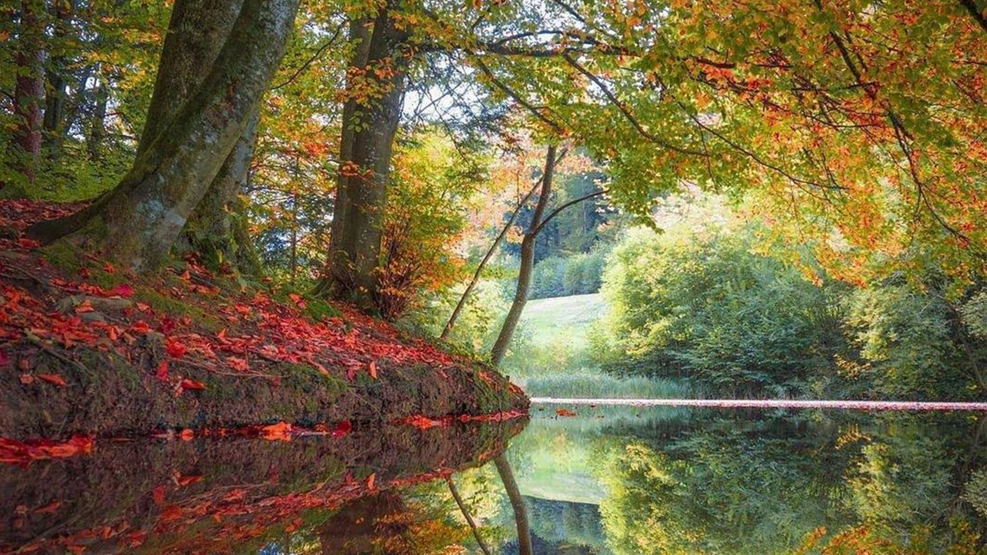 Бахруз Джафаров