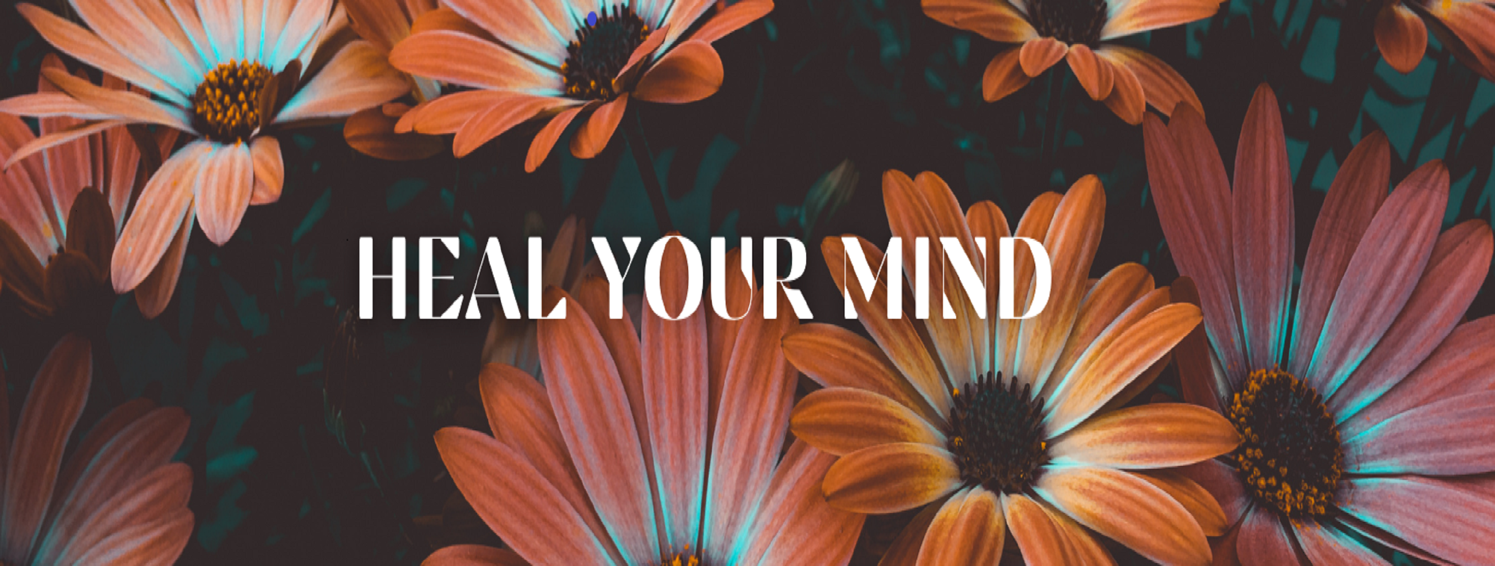 Heal Your Mind