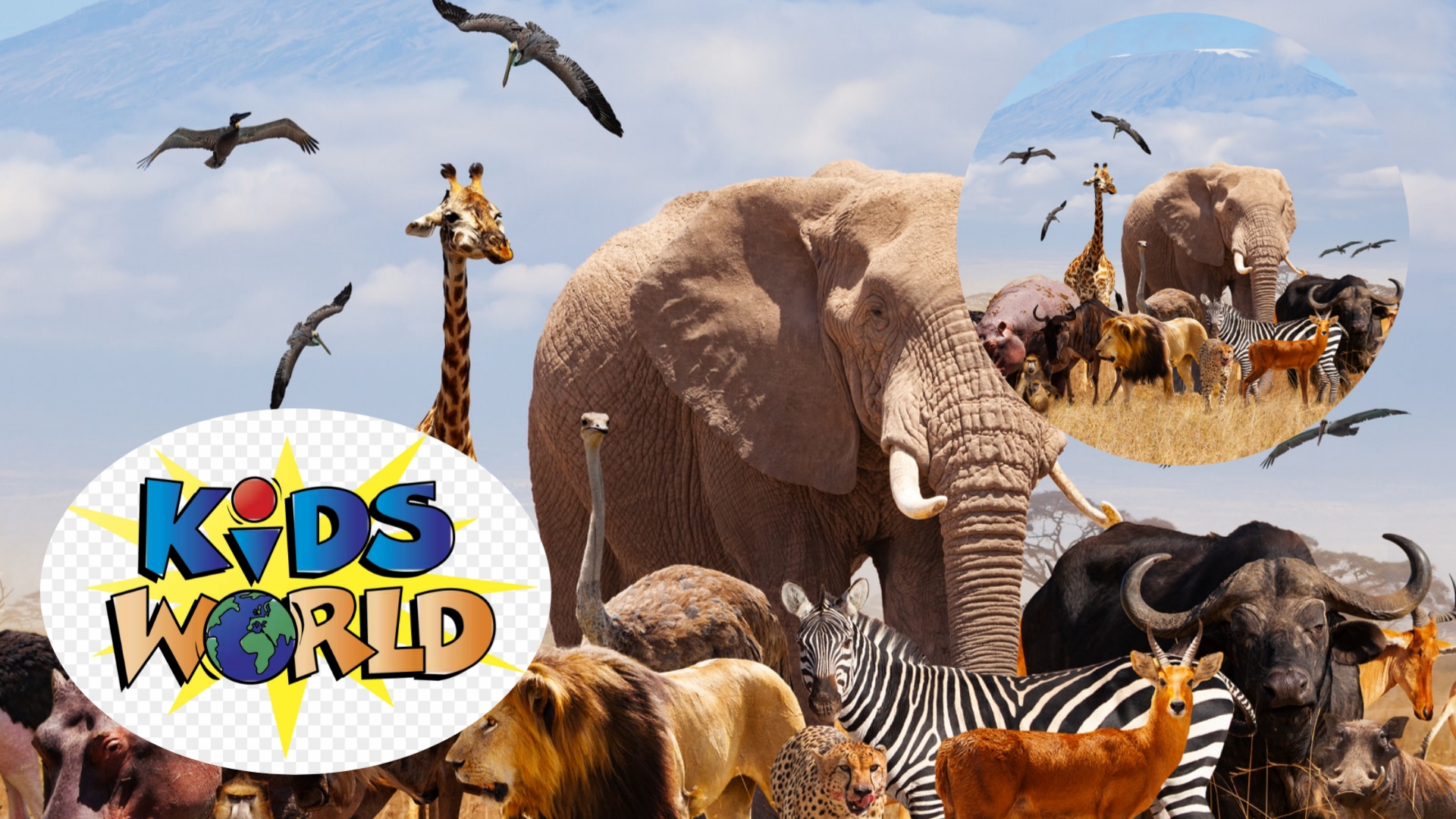 Baby and animals world