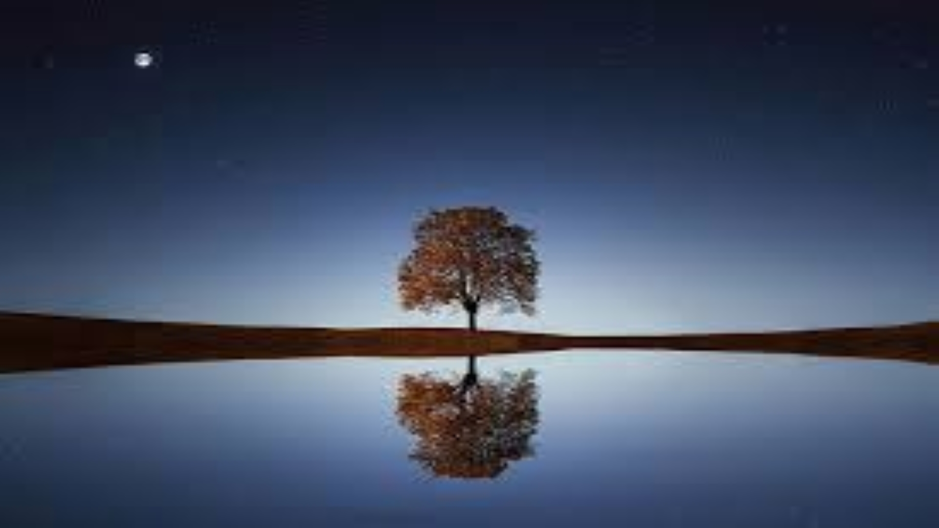 Rosel TV der Kinder kanal