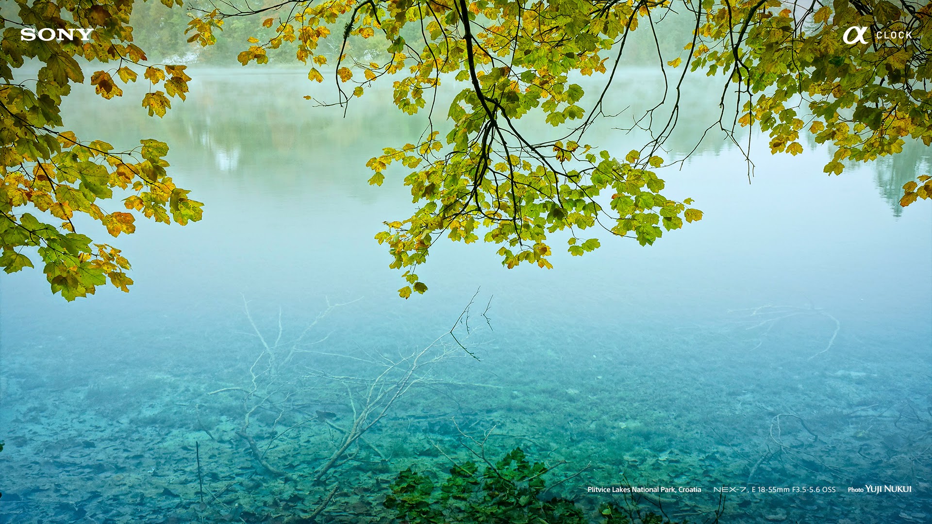 श्री प्रज्ञा