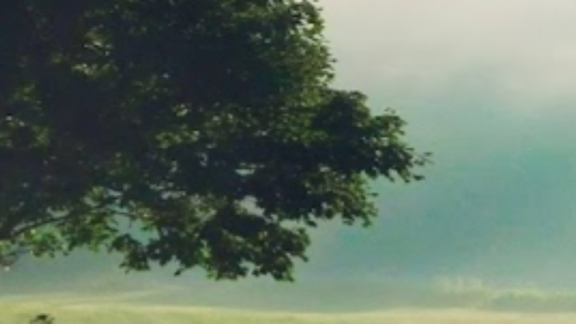 شہر میں دیہات Shehr Main Dihat