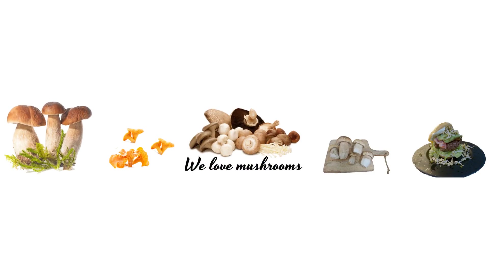 We Love Mushrooms