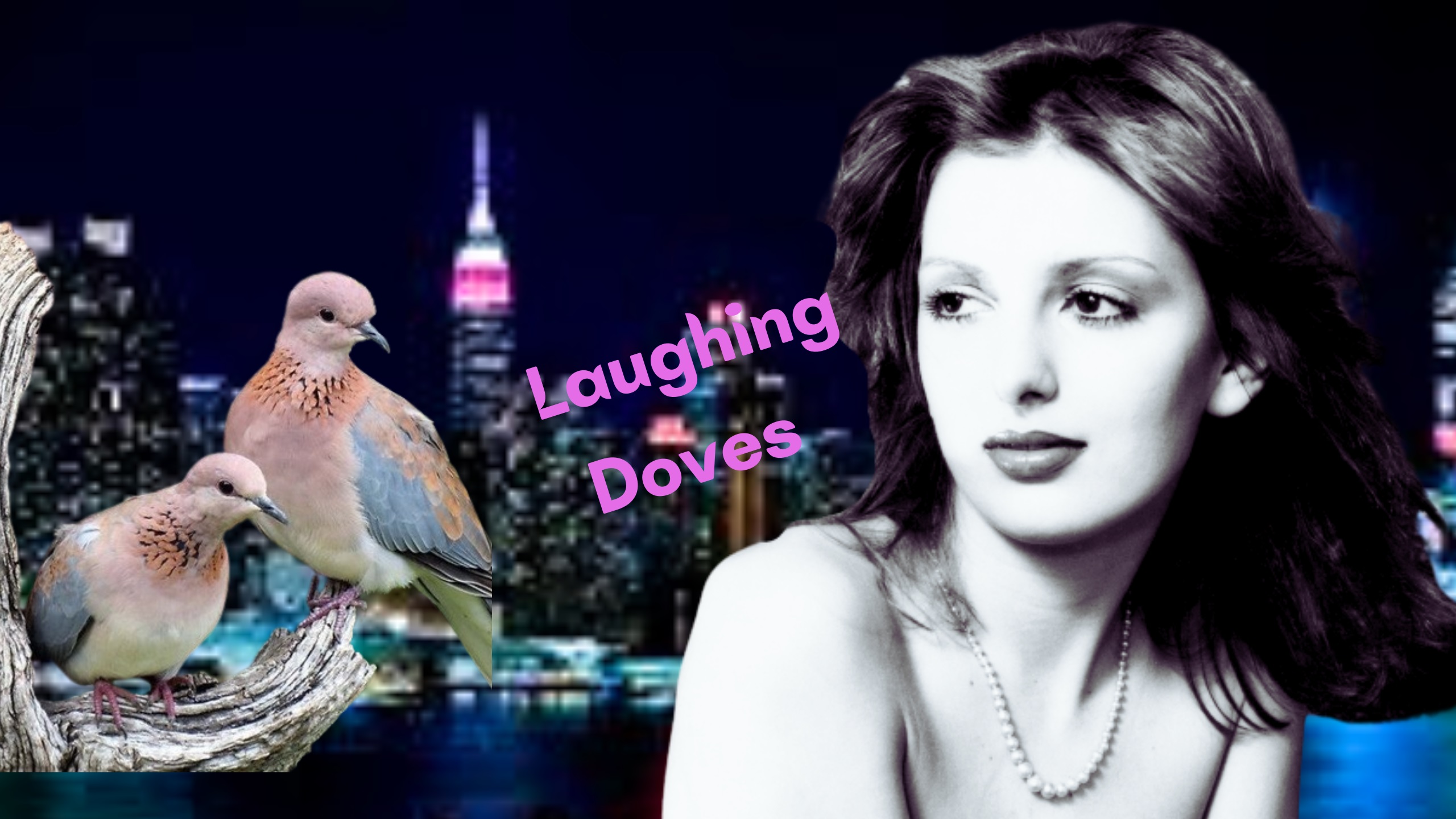 Laughing Doves