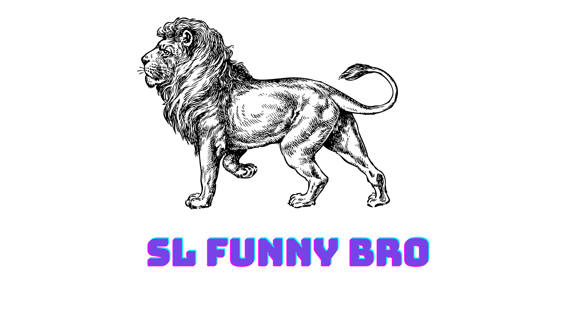 Sl funny Bro