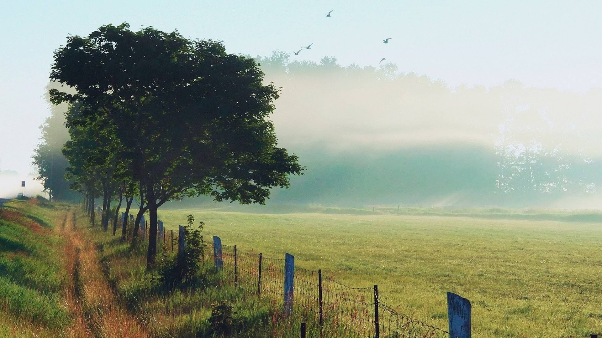 Shehr Main Dihat شہر میں دیہات