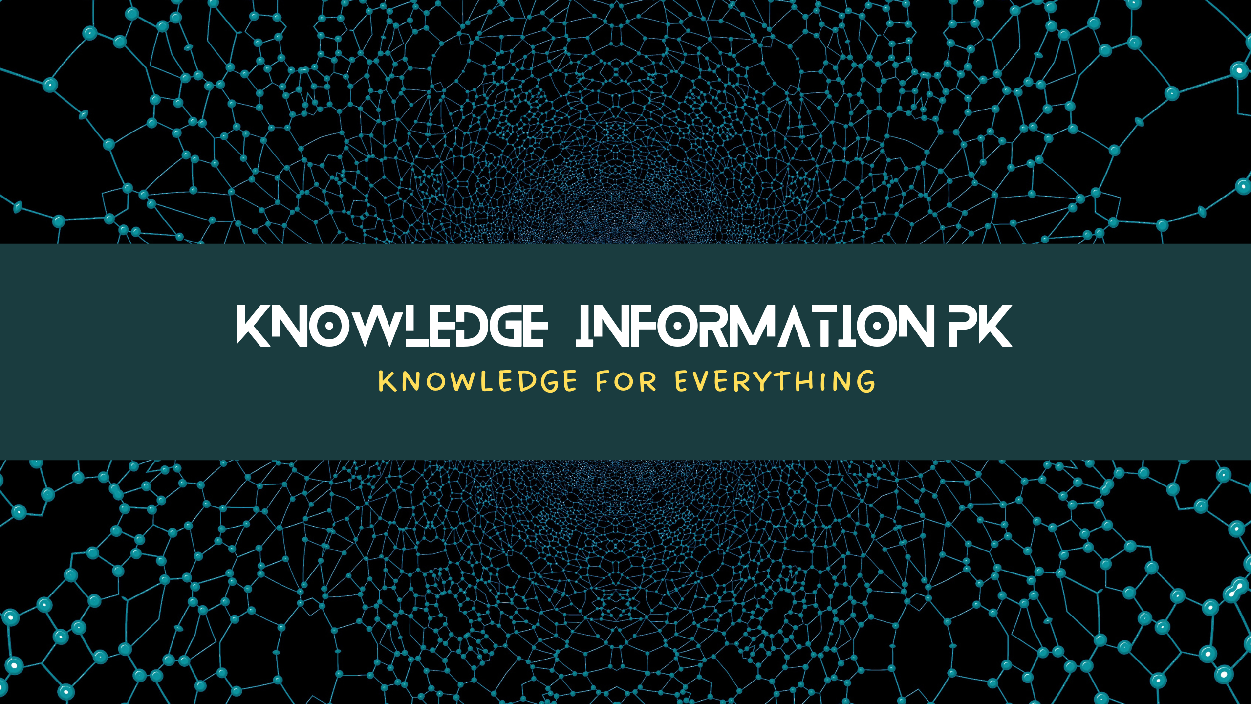 Knowledge Information Pk