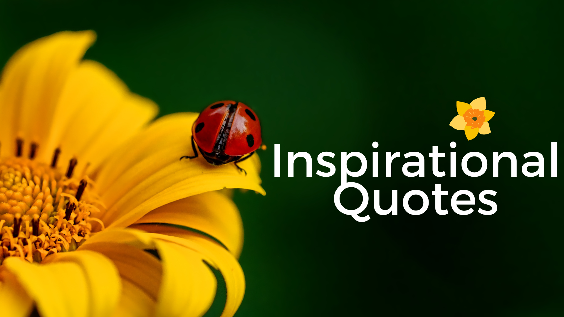 Inspirational Quotes