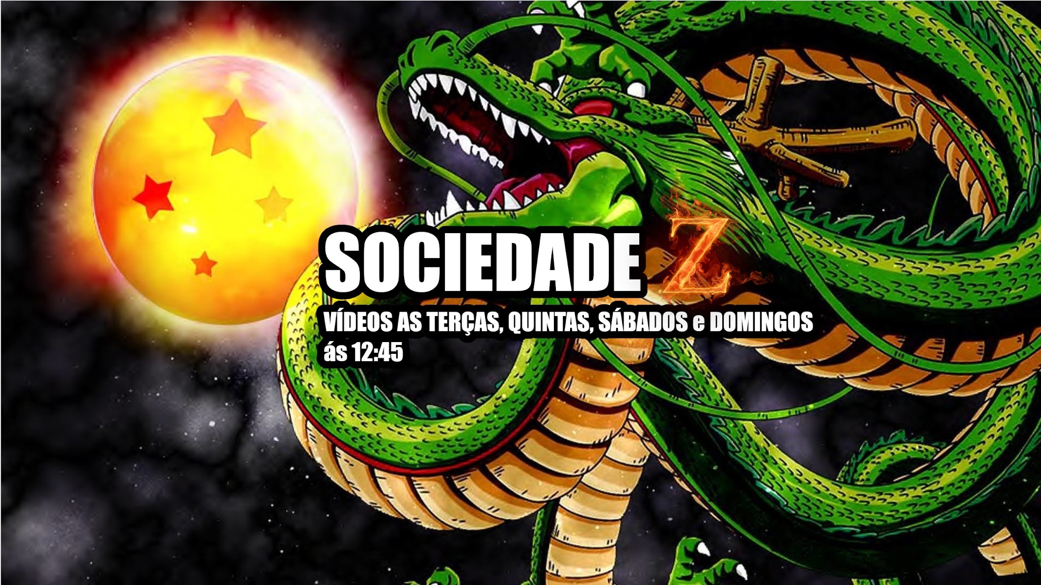 SOCIEDADE Z