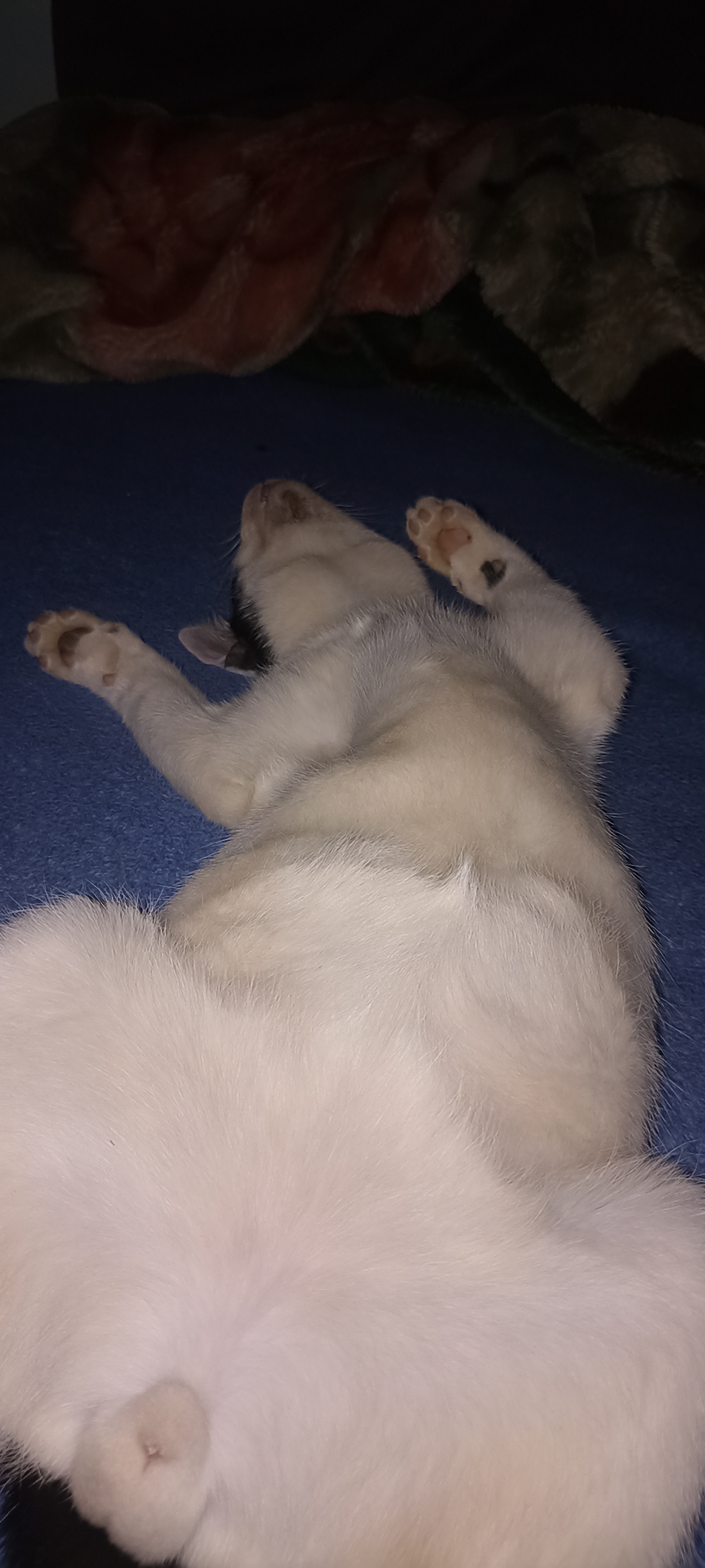 Watch it and laugh again