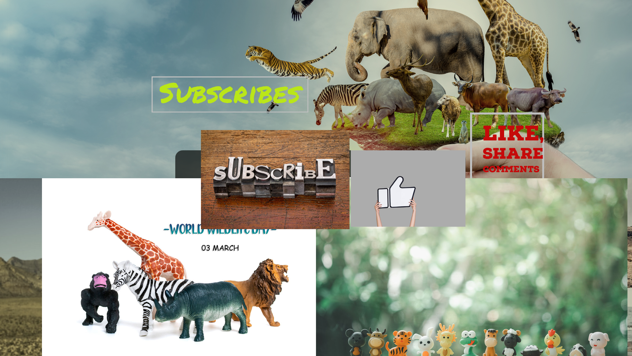 Dailymotion banner for @wonderland