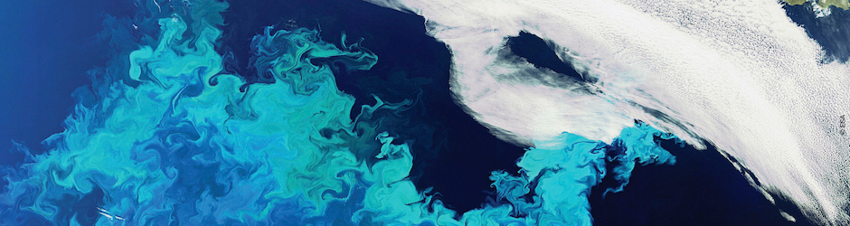 Les archives du WWF France