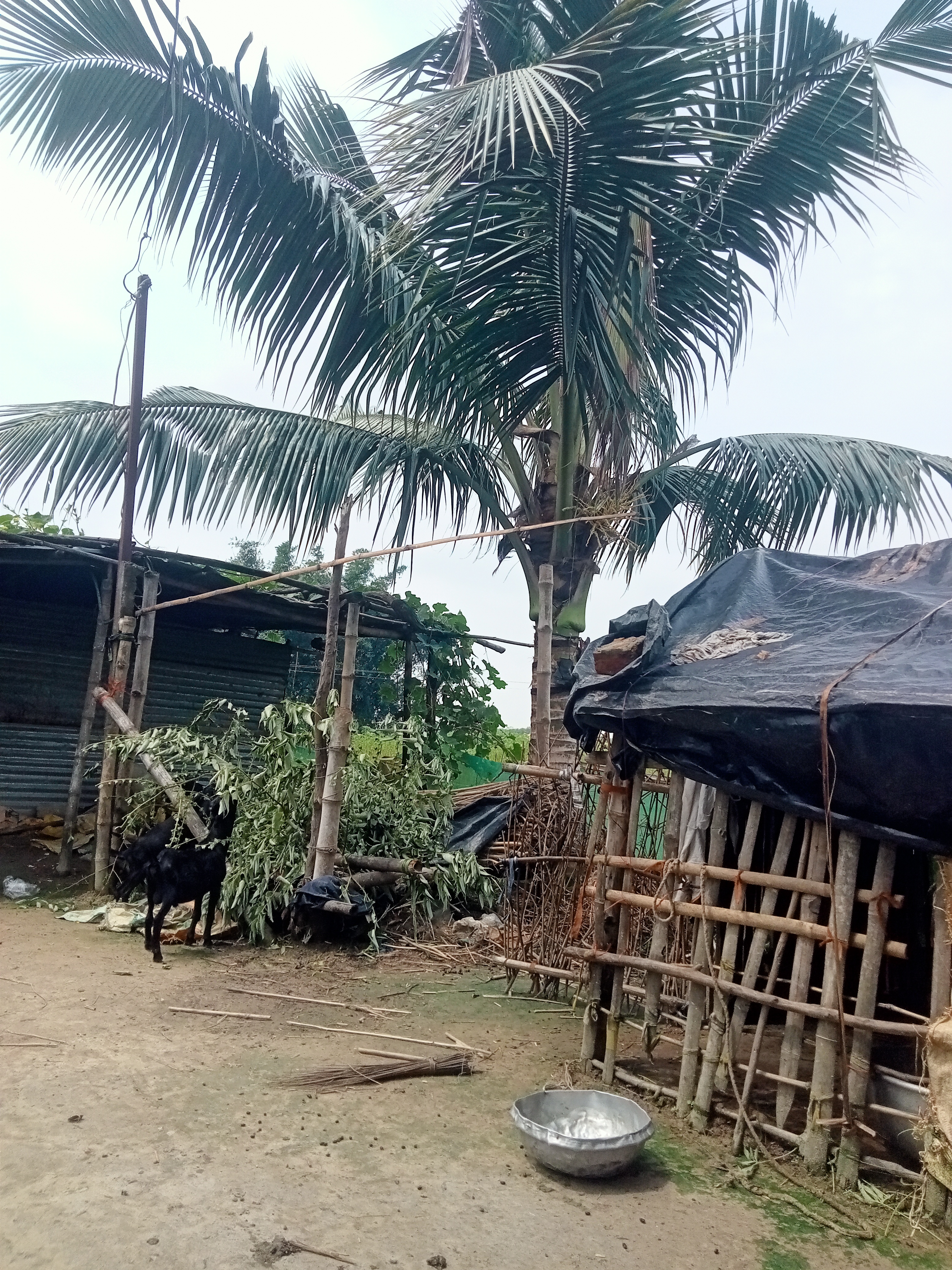 PARAMJEET ISHWAR 786