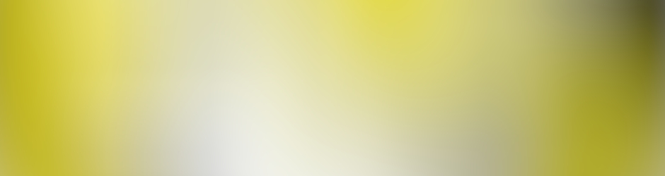 fred-spielberg-vidéo