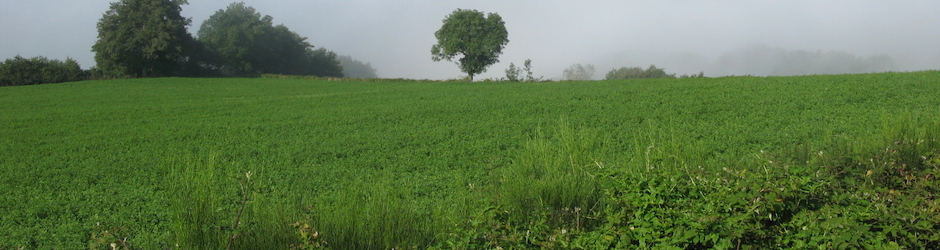 Ecole saint Joseph - Craon