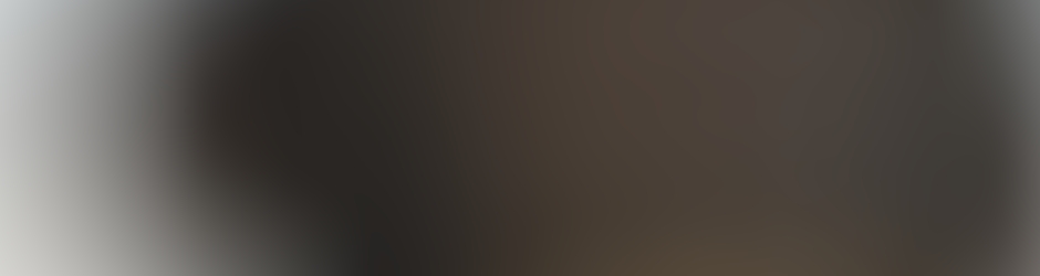 LABRADORS MAZET DE LA CRAU