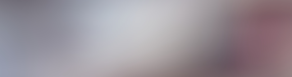 Christophe DE REGIBUS