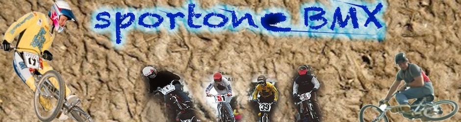 Barille barille loic