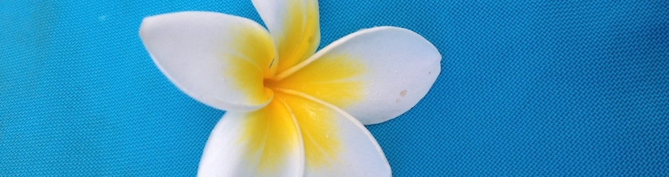 Amaury Monjot--Rémondet