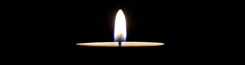 ZINGA Qs160 aKa l'oeil du zoo