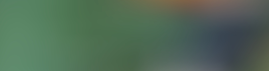 warzee charles michel