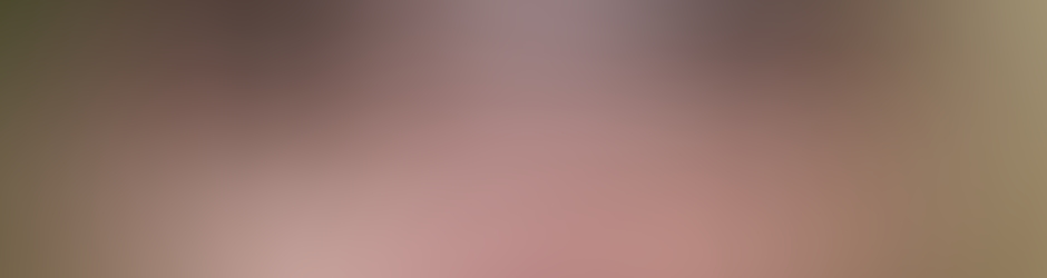 Brigitte Santiago Ancel