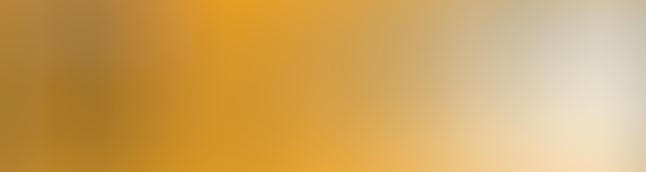 M Légo Intrépids system