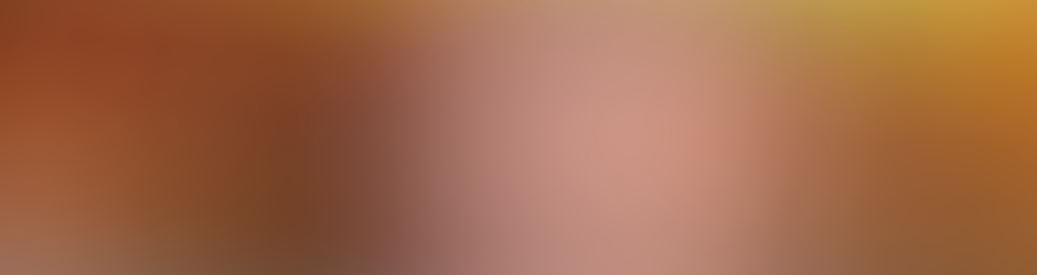 Luiz Henrique Martins