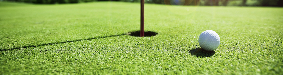 Fédération française de golf (ffgolf)