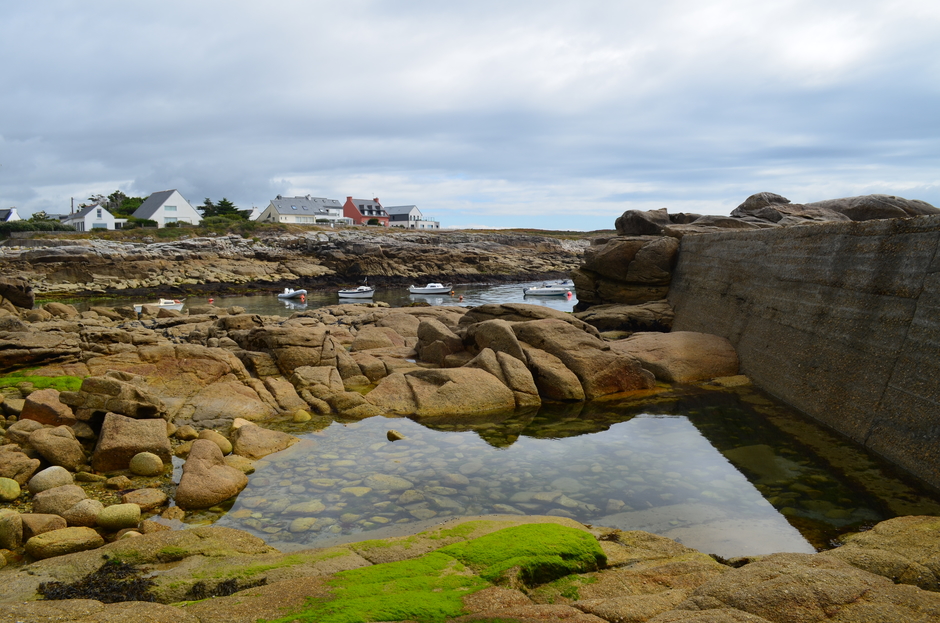 vidéo bretagne Guillemot