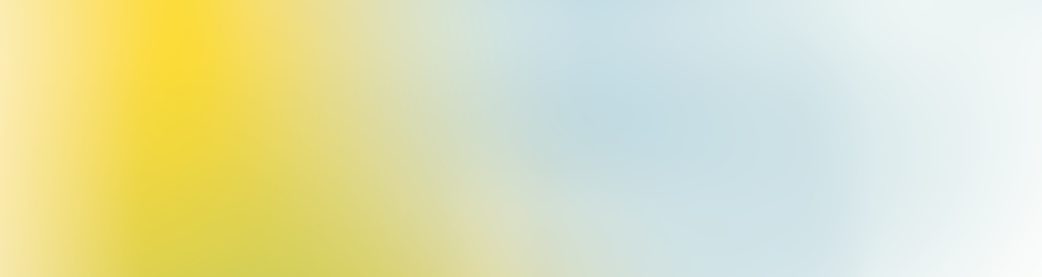 Centre Socio Culturel