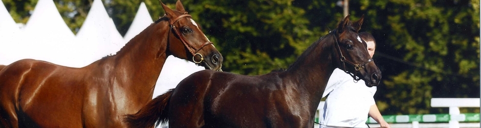 Elevage Palija - Pauline Chevalier