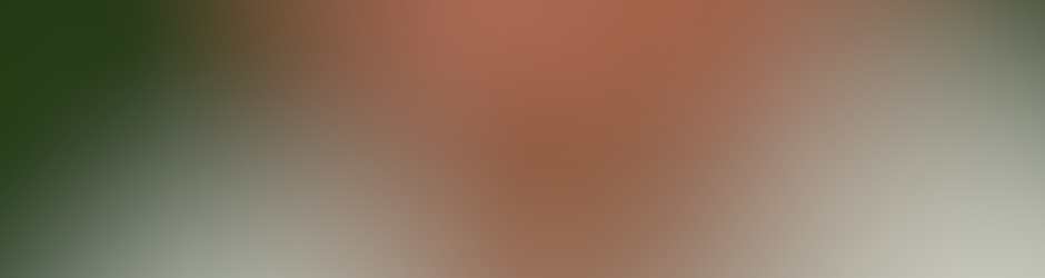 Daniel SUPERCHANTEUR