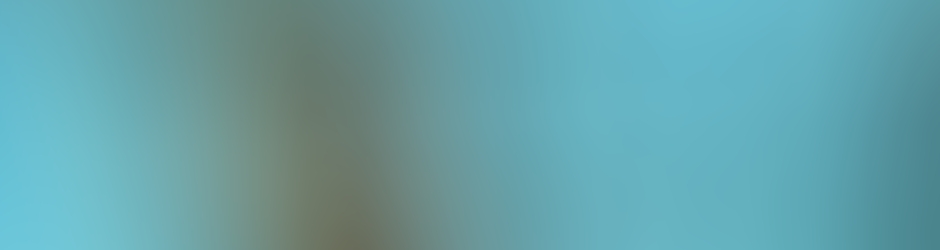 Jibé, Pierre , Cédric , Paul