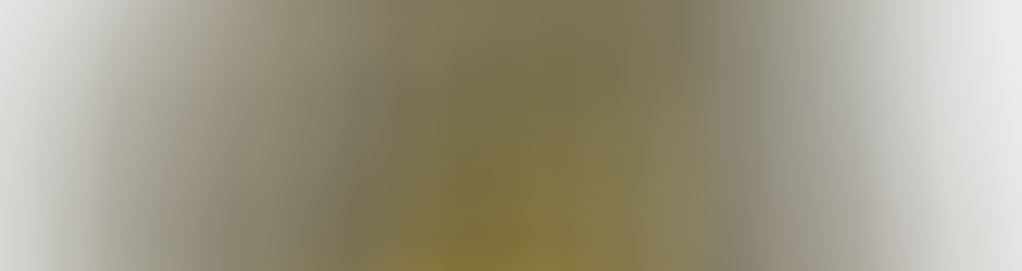 Jesus Nuñez Alcaraz