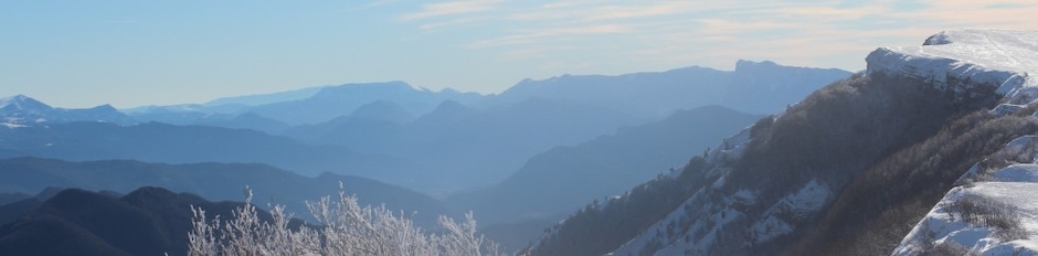Association Peuple Loup