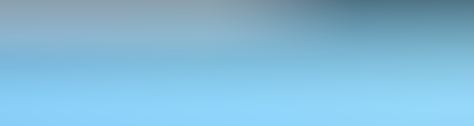 Michel STEPHAN Michel STEPHAN