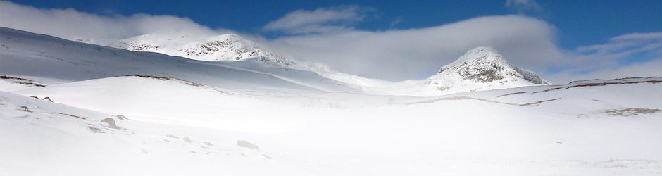 Skirandonneenordique.com