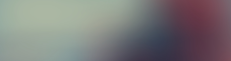 Guillaume Guillaume Féret