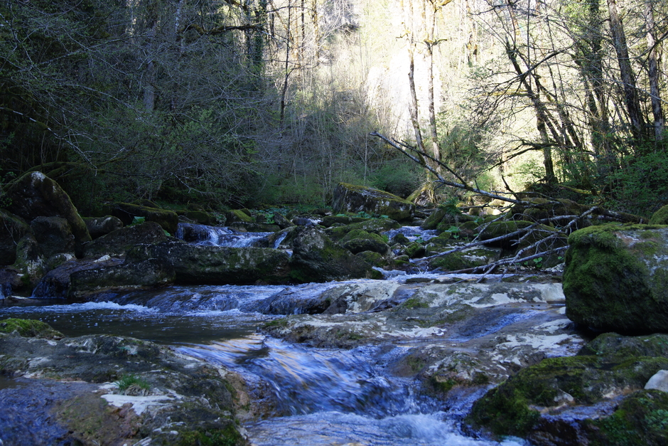 L'ESPRIT DU SON - 4 Playlists music style live