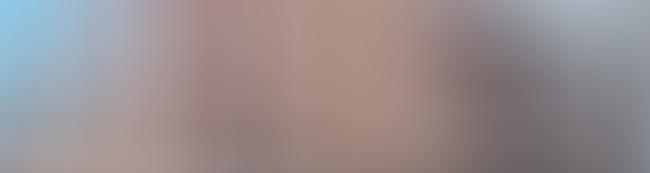 Jean Jacques FULGONI